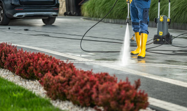 Best Dumpster Area Cleaning  in Scotland Neck, NC